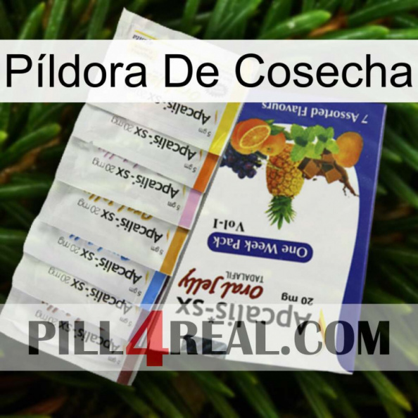 Píldora De Cosecha 11.jpg